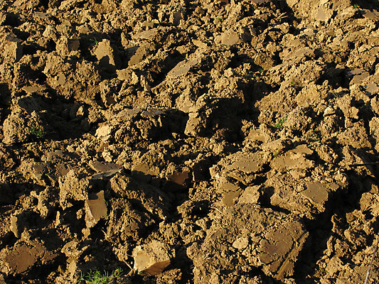 포토 JPG 해외이미지 지구 모래 조각 백그라운드 패턴 밭 농업 벽지 표면 추상 사람없음 일상 농장 농경지 갈색 경작 시골 거친 땅 발굴 생태계 질감 부드러움 점토 땅바닥 밭일 쟁기 많음 해외포토 산업 컬러 컨셉 무늬 바닥 라이프 농사 감각 파일형식 이미지허브