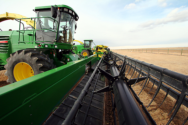 포토 JPG 해외이미지 산업 음식 빵 줄기 밭 농업 풍경 초원 사람없음 야외 초록색 농작물 농장 쌓기 기계 수확 가을 시골 업무 칼날 황금 농부 결합 먹이 낟알 땅 자르기 밀 수집 회전 드럼 패키지 트랙터 밀짚 내추럴 돌리기 밭일 자동화 줄서기 해외포토 식물 직업 계절 컬러 모션 타악기 곡류 작업 짚 농기계 특수차량 파일형식 이미지허브