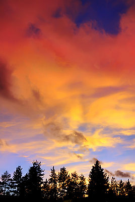 포토 JPG 해외이미지 나무 구름 계절 실루엣 호수 분홍색 여행 백그라운드 오렌지 자연 하늘 휴가 산 파노라마 풍경 사람없음 야외 빨간색 여름 파란색 빛 컬러풀 햇빛 태양 노란색 일출 미국 일몰 새벽 낭만 소나무 황금 야간 저녁 숲 캘리포니아 장면 수평선 해외포토 자연요소 식물 컬러 컨셉 북아메리카 과일 촬영기법 노을 생태계 파일형식 이미지허브