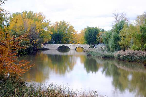 포토 JPG 해외이미지 주간 나무 계절 석조 사람없음 강 반사 골동품 가을 바위 중세 아치 옛날 해외포토 자연요소 식물 돌_바위 역사 파일형식 이미지허브