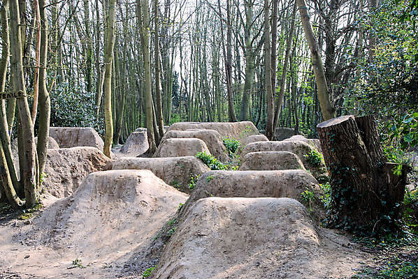 포토 JPG 해외이미지 나무 자국 기술 사람없음 먼지 진흙 삼림지대 선로 해외포토 식물 숲 파일형식 이미지허브