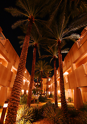 포토 JPG 해외이미지 나무 벽 하늘 실내 손바닥 사람없음 내부 검은색 뜨거움 야간 큼 각도 문학 안뜰 해외포토 자연요소 식물 손 컬러 크기 파일형식 이미지허브