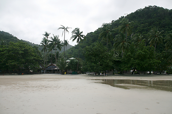 포토 JPG 해외이미지 나무 아시아 바다 섬 여행 태국 자연 호텔 휴가 주택 손바닥 사람없음 건물 목재 초록색 여름 여행객 숲 열대우림 휴양지 뿌리 코코넛 내추럴 이국적 해외포토 식물 건축물 손 계절 나라 컬러 과일 재료 숙소 사람 장소 생태계 파일형식 이미지허브