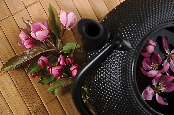 포토 JPG 해외이미지 꽃 티타임 근접촬영 사람없음 찻주전자 꽃차 해외포토 식물 뷰포인트 주전자 휴식 차_음료 파일형식 이미지허브