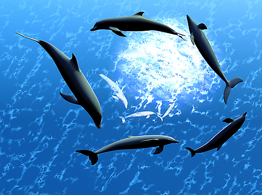 포토 JPG 해외이미지 동물 행복 파도 바다 백그라운드 일러스트 포유류 자연 놀이 하늘 나선형 어류 미소 사람없음 물 햇빛 수영 꿈 회색 입 치아 떨어짐 저녁 달빛 돌고래 코 무료 몽환 해외포토 자연요소 감정 컬러 컨셉 무늬 표정 신체부위 태양 수중동물 달 수상스포츠 소화기관 야간 생태계 파일형식 이미지허브