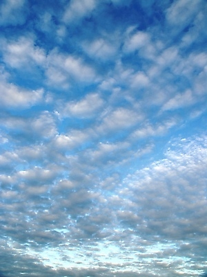 포토 JPG 해외이미지 구름 실루엣 하늘색 백그라운드 자연 벽지 하늘 풍경 사람없음 야외 파란색 빛 태양 뷰티 웹 덮개 광선 흰색 만족 질감 부드러움 천국 해외포토 자연요소 감정 컬러 인터넷 촬영기법 뚜껑 감각 생태계 파일형식 이미지허브