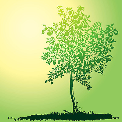 EPS 해외이미지 모양 나무 실루엣 잎 농업 과일 일러스트 자연 하늘 건강 초록색 햇빛 태양 환경 정원 봄 시골 사과 그림 생태계 원예 윤곽 생태학 해외일러스트 자연요소 식물 계절 교육 산업 컬러 촬영기법 취미 파일형식 벡터 이미지허브