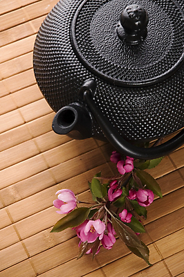 포토 JPG 해외이미지 꽃 티타임 근접촬영 사람없음 찻주전자 꽃차 해외포토 식물 뷰포인트 주전자 휴식 차_음료 파일형식 이미지허브