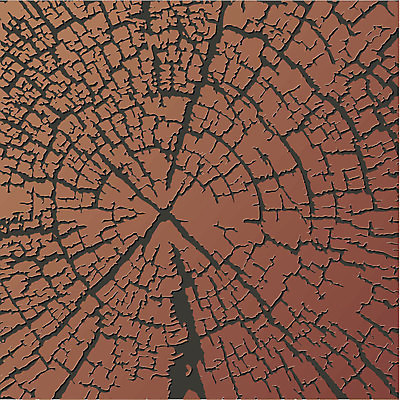 EPS 해외이미지 나무 백그라운드 패턴 일러스트 자연 목재 갈색 블록 성장 반지 숲 낟알 질감 목공예 잡동사니 내추럴 수목 옛날 해외일러스트 식물 컬러 무늬 재료 장신구 공예 생태계 파일형식 벡터 이미지허브