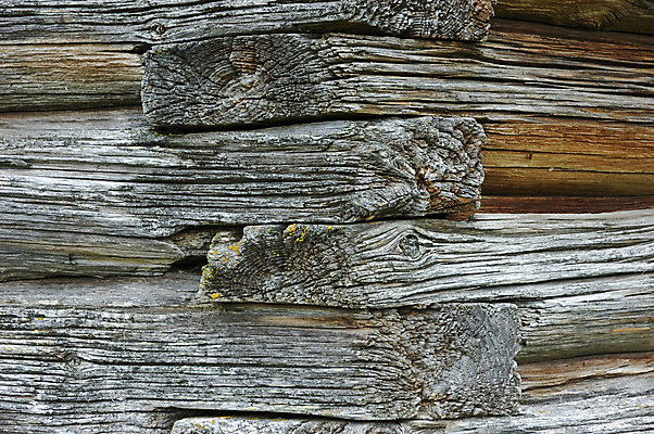 포토 JPG 해외이미지 벽 조각 여행 백그라운드 부분 표면 추상 사람없음 목재 교회 어둠 회색 시골 소나무 균열 천 교차로 질감 통나무 북쪽 다리찢기 내추럴 옛날 해외포토 나무 길 컬러 무늬 재료 종교건축 모션 건물 직물 방향 파일형식 이미지허브