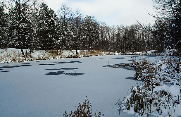 포토 JPG 해외이미지 나무 식물 겨울 사람없음 물 강 얼음 침묵 추위 소나무 구멍 숲 해외포토 자연요소 계절 소리 파일형식 이미지허브