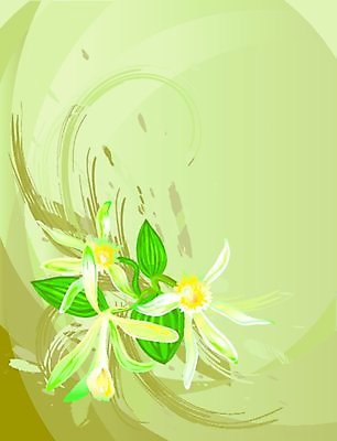 EPS 해외이미지 식물 꽃 백그라운드 잎 일러스트 자연 나선형 초록색 컬러풀 뷰티 노란색 벚꽃 소용돌이 흰색 난초 향신료 그림 아로마 바닐라 이국적 해외일러스트 컬러 무늬 회오리 생태계 향미료 파일형식 벡터 이미지허브