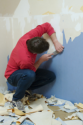 포토 JPG 해외이미지 벽 벽지 주택 실내 한명 장식 방 업무 작업 수리 업그레이드 재주꾼 해외포토 1 사람 내부 건물 파일형식 이미지허브