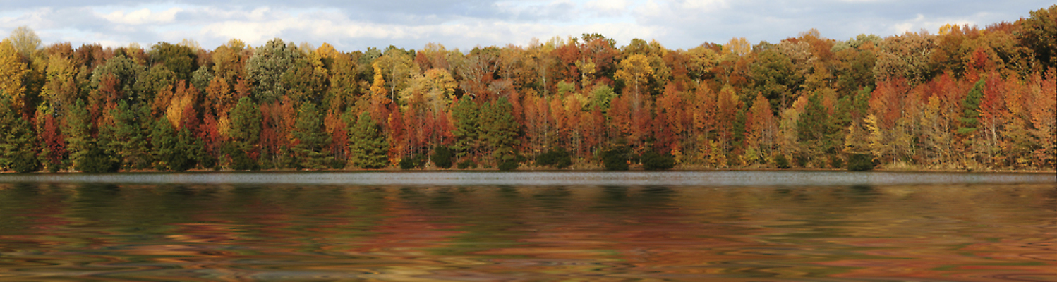 포토 JPG 해외이미지 나무 계절 공원 호수 줄기 잎 오렌지 자연 파노라마 풍경 사람없음 야외 초록색 물 컬러풀 노란색 평화 환경 가을 나뭇가지 황금 숲 9월 10월 방법 해외포토 자연요소 식물 공공시설 컬러 컨셉 과일 촬영기법 날짜 생태계 파일형식 이미지허브