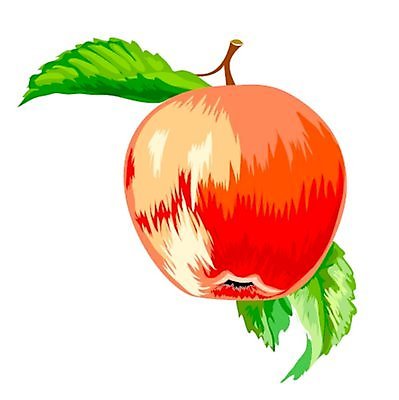 EPS 해외이미지 라이프스타일 계절 종교 음식 잎 과일 일러스트 건강 빨간색 정원 시골 달콤 맛 사과 심볼 숙성 파라다이스 해외일러스트 식물 컬러 컨셉 생활 파일형식 벡터 이미지허브