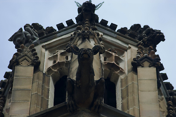 포토 JPG 해외이미지 동물 문화 조각 건축양식 사람없음 조각상 바위 무서움 악마 신화 나쁜 고딕 몬스터 옛날 해외포토 건축 감정 조형물 돌_바위 파일형식 이미지허브