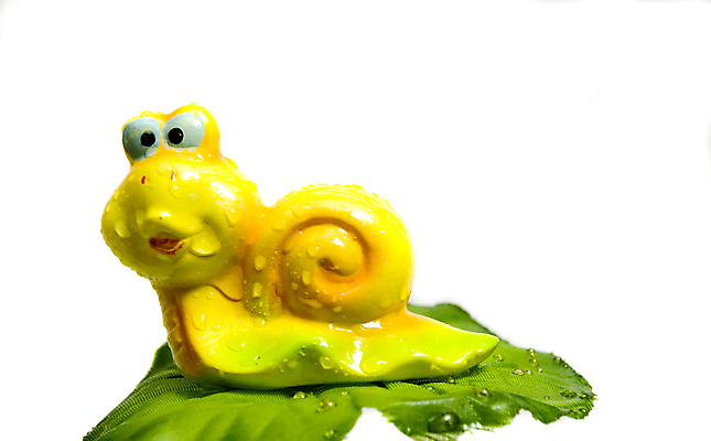 포토 JPG 해외이미지 동물 접시 행복 어린이 유리 놀이 실내 선물 웃음 사람없음 빛 컬러풀 장난감 운전 수확 껍질 게임 흰색 수집 심볼 통조림 바둑 고립 옛날 스타일 해외포토 식기 감정 컬러 농업 모션 재질 표정 사람 내부 파일형식 이미지허브