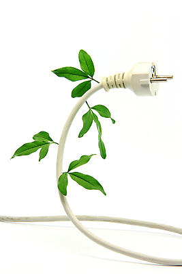 포토 JPG 해외이미지 식물 산업 백그라운드 컨셉 잎 자연 아이디어 사람없음 초록색 환경 힘 에너지 흰색 오염 플러그 코드 확대 연결 심볼 생태계 철사 고립 생태학 전압 공급 스타일 해외포토 교육 컬러 파일형식 이미지허브