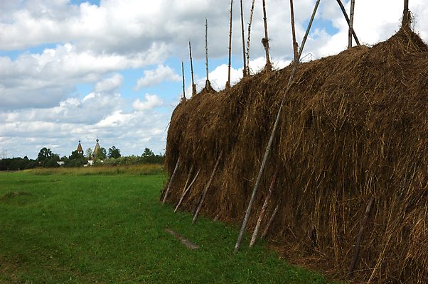 포토 JPG 해외이미지 구름 음식 밭 농업 자연 하늘 풍경 잔디 초원 사람없음 야외 초록색 여름 파란색 뷰티 농장 노란색 맑음 목장 수확 흰색 시골 소 건초더미 볏짚 농부 땅 러시아 밀짚 숙성 해외포토 자연요소 식물 직업 계절 유럽 산업 컬러 포유류 날씨 건초 짚 생태계 파일형식 더미 이미지허브