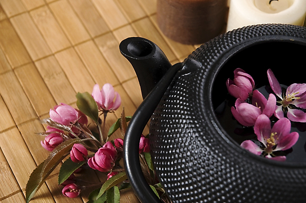 포토 JPG 해외이미지 꽃잎 티타임 근접촬영 사람없음 찻주전자 꽃차 해외포토 꽃 뷰포인트 주전자 휴식 차_음료 파일형식 이미지허브