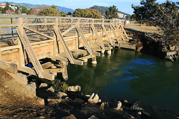 포토 JPG 해외이미지 나무 식물 디자인 공원 꽃 호수 패턴 건축양식 자연 하늘 사람없음 야외 목재 초록색 물 강 숲 작음 질감 옛날 해외포토 자연요소 공공시설 건축 컬러 무늬 재료 크기 생태계 파일형식 이미지허브