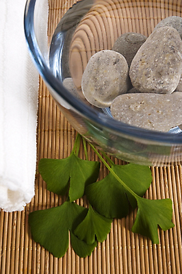 포토 JPG 해외이미지 잎 재료 자연 유리 휴식 중국문화 건강 사람없음 장식 물 수건 건강관리 스파 활발 우유 약재 바위 나뭇가지 신선 마사지 액체 그룹 고급 약초 허브 대나무 향기 아로마테라피 테라피 바디케어 샤워실 위생관리 해외포토 자연요소 나무 식물 동양문화 외국문화 컨셉 재질 유제품 관리 위생용품 뷰티 약 돌_바위 풀_식물 생태계 냄새 샤워시설 파일형식 이미지허브