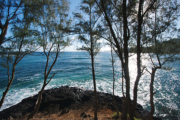 포토 JPG 해외이미지 나무 모래 파도 바다 하늘 바람 휴가 열대 따뜻함 해변 사람없음 물 파란색 세트 평화 맑음 수영 일몰 꿈 껍질 흰색 황금 산호 저녁 발자국 태평양 암초 폭풍 석호 양발 전국 해외포토 자연요소 식물 컬러 컨셉 자국 날씨 노을 수상스포츠 자포동물 야간 파일형식 이미지허브