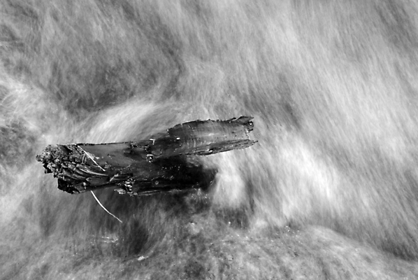 포토 JPG 해외이미지 나무 자연 사람없음 물 강 검은색 폭포 회색 바위 흰색 막대기 부드러움 해외포토 자연요소 식물 컬러 돌_바위 감각 생태계 파일형식 이미지허브