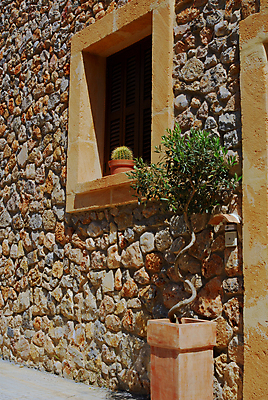 포토 JPG 해외이미지 식물 꽃 벽 여행 꽃무늬 자연 휴가 선인장 주택 건조 따뜻함 사람없음 야외 초록색 맑음 사막 뜨거움 가시 닫기 냄비 위험 큼 척추 날카로움 스파이크 찌르기 이국적 해외포토 컬러 컨셉 무늬 모션 날씨 뼈 건물 솥 크기 생태계 파일형식 이미지허브