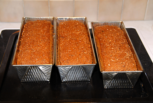 포토 JPG 해외이미지 음식 빵 주택 따뜻함 건강 노르웨이 요리 사람없음 갈색 주방 빵집 껍질 신선 뜨거움 황금 오븐 맛 낟알 밀 굽기 먹기 기아 배고픔 준비 섬유 통조림 식욕 핸드메이드 호밀 해외포토 유럽 컬러 컨셉 모션 곡류 건물 상점 가전제품 직물 구이 사회이슈 파일형식 이미지허브