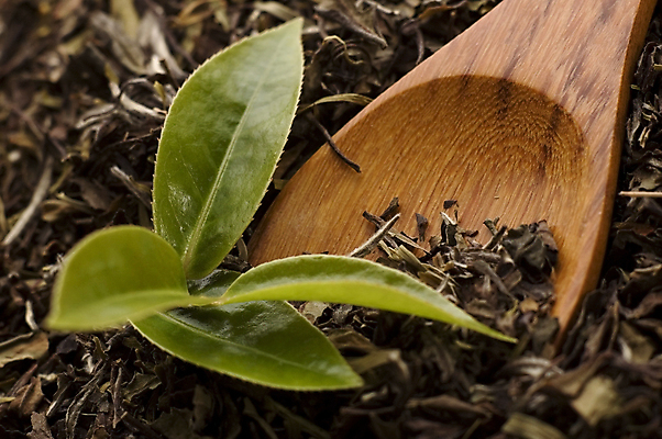 포토 JPG 해외이미지 잎 티타임 근접촬영 사람없음 나무숟가락 찻잎 녹차잎 해외포토 식물 뷰포인트 휴식 차_음료 숟가락 녹차 파일형식 이미지허브