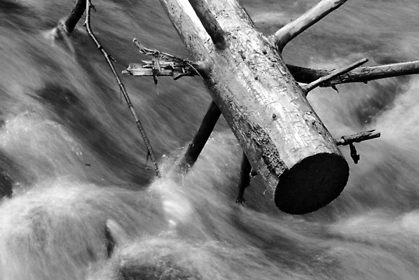 포토 JPG 해외이미지 나무 자연 사람없음 물 강 검은색 폭포 회색 바위 흰색 막대기 부드러움 해외포토 자연요소 식물 컬러 돌_바위 감각 생태계 파일형식 이미지허브