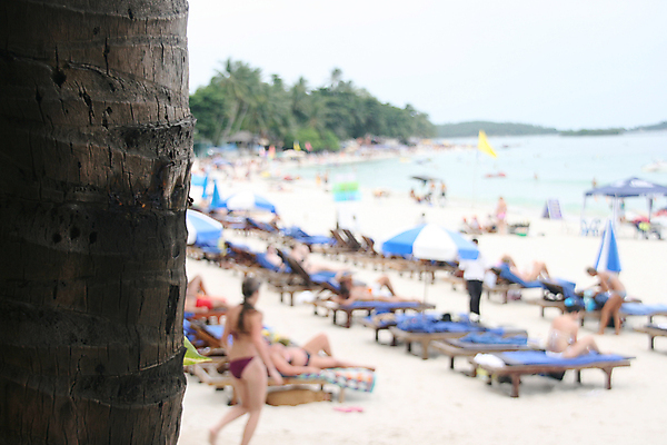 포토 JPG 해외이미지 나무 아시아 모래 바다 섬 여행 백그라운드 우산 태국 자연 휴가 휴식 따뜻함 손바닥 사람 해변 사람없음 물 여름 야자수 태양 맑음 수영 뜨거움 부채 군중 묘사 다이빙 블러 이국적 해외포토 자연요소 식물 손 계절 나라 컨셉 날씨 수상스포츠 생태계 수중스포츠 파일형식 이미지허브