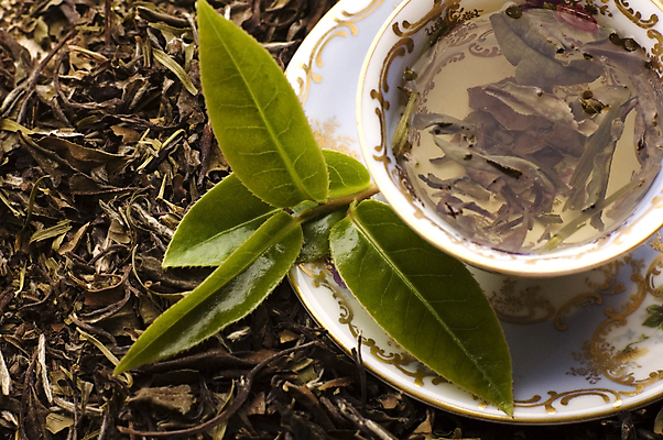 포토 JPG 해외이미지 잎 티타임 사람없음 하이앵글 찻잔 녹차 컵받침 찻잎 녹차잎 해외포토 식물 뷰포인트 휴식 잔 차_음료 받침대 파일형식 이미지허브