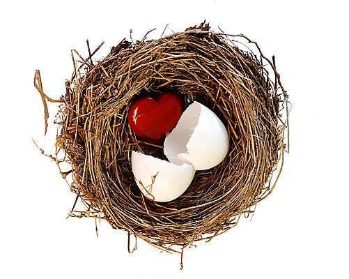 포토 JPG 해외이미지 식물 1 어린이 자연 조류 주택 건조 사랑 앉기 사람없음 빨간색 빛 갈색 노란색 계란 껍질 흰색 나뭇가지 하트 아기 신생아 감각 생일 둥지 발사 자르기 싱글 부화 내추럴 고립 깨짐 단절 베어링 유일 해외포토 모양 나무 동물 기념일 감정 컬러 컨셉 모션 사람 건물 알 생태계 파일형식 이미지허브