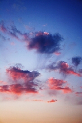 포토 JPG 해외이미지 실루엣 분홍색 하늘색 백그라운드 자연 벽지 하늘 사람없음 야외 파란색 빛 태양 뷰티 일출 맑음 웹 일몰 덮개 저녁 만족 질감 상승 부드러움 천국 내추럴 종료 해외포토 자연요소 감정 컬러 컨셉 인터넷 날씨 촬영기법 노을 뚜껑 감각 야간 생태계 파일형식 이미지허브