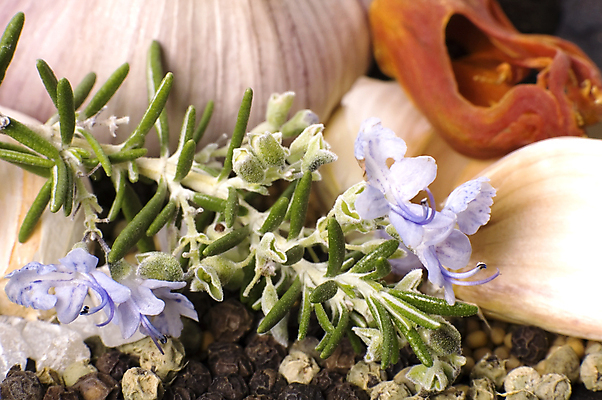 포토 JPG 해외이미지 나무 식물 음식 백그라운드 잎 채소 오렌지 재료 자연 마늘 요리 사람없음 빨간색 초록색 갈색 검은색 성장 신선 양념 약초 먹기 허브 향신료 유기농 향기 화단 소금 후추 상록수 아로마테라피 로즈메리 건강식 채소밭 바닐라 해외포토 웰빙 컬러 밭 과일 모션 풀_식물 생태계 냄새 테라피 향미료 파일형식 이미지허브