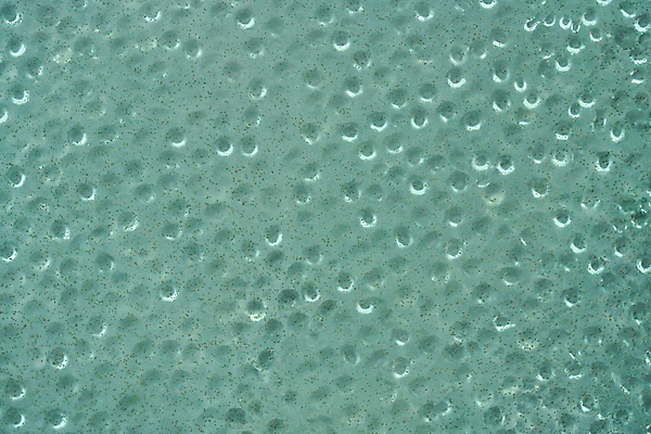 포토 JPG 해외이미지 백그라운드 패턴 유리 벽지 추상 오리 사람없음 파란색 빛 거품 투명 닫기 입자 작음 만족 질감 반투명 여의주 팝 해외포토 감정 컬러 무늬 모션 재질 조류 크기 파일형식 이미지허브