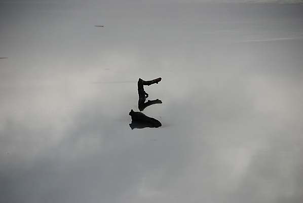 포토 JPG 해외이미지 나무 호수 겨울 자연 사람없음 물 파란색 얼음 회색 막대기 해외포토 자연요소 식물 계절 컬러 생태계 파일형식 이미지허브