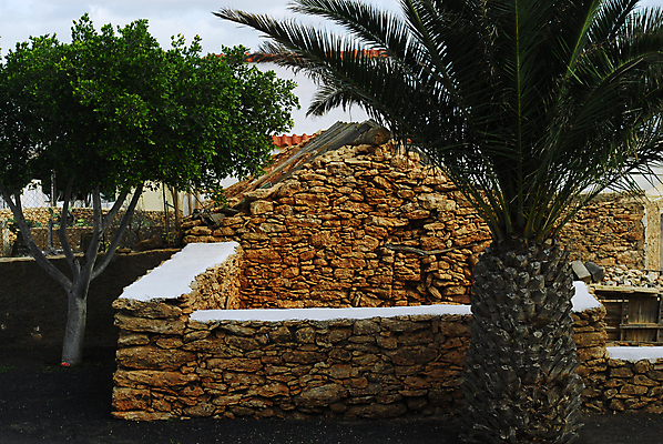 포토 JPG 해외이미지 나무 손바닥 석조 사람없음 야외 초록색 마을 시골 스페인 닫기 오두막 원예 스타일 해외포토 식물 손 유럽 컬러 모션 취미 파일형식 이미지허브