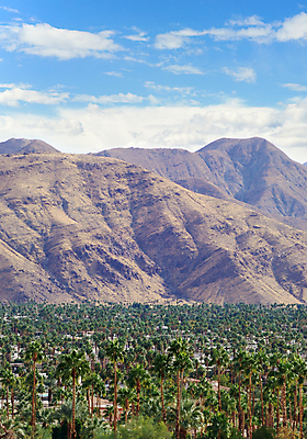 포토 JPG 해외이미지 나무 여행 백그라운드 자연 하늘 산 손바닥 사람없음 초록색 파란색 뷰티 여행객 환경 계곡 맑음 미국 봄 사막 흰색 신선 언덕 휴양지 캘리포니아 남쪽 내추럴 오아시스 이국적 해외포토 식물 손 계절 컬러 북아메리카 날씨 사람 장소 방향 생태계 파일형식 이미지허브