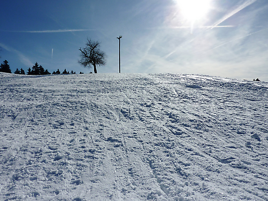 포토 JPG 해외이미지 나무 계절 겨울 자연 하늘 풍경 사람없음 빛 태양 맑음 얼음 추위 흰색 숲 언덕 전나무 눈내림 해외포토 자연요소 식물 컬러 날씨 눈_날씨 생태계 파일형식 이미지허브