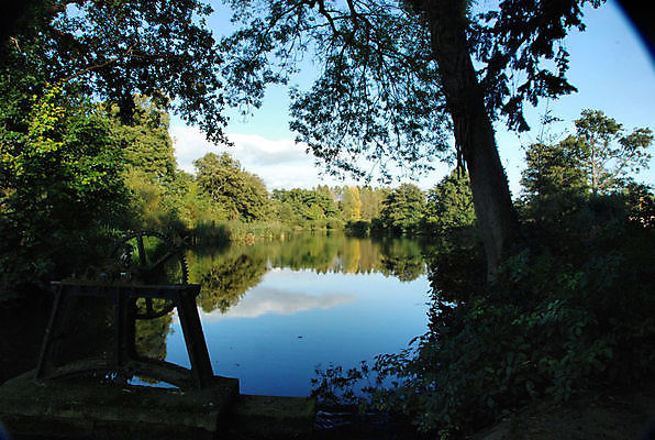 포토 JPG 해외이미지 나무 영국 사람없음 물 파란색 평화 침묵 댐 해외포토 자연요소 식물 공공시설 유럽 컬러 컨셉 소리 파일형식 이미지허브