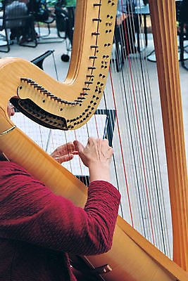 포토 JPG 해외이미지 줄 음악 결혼 관리 사람없음 목재 콘서트 숲 팔 해외포토 나무 재료 문화예술 이벤트 신체부위 공연 파일형식 이미지허브