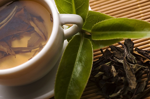 포토 JPG 해외이미지 잎 티타임 근접촬영 사람없음 찻잔 녹차 컵받침 찻잎 녹차잎 해외포토 식물 뷰포인트 휴식 잔 차_음료 받침대 파일형식 이미지허브