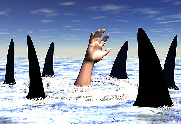 포토 JPG 해외이미지 손 바다 사람없음 물 수영 원형 위험 먹이 먹기 지느러미 트러블 해외포토 자연요소 도형 컨셉 모션 신체부위 수상스포츠 파일형식 이미지허브