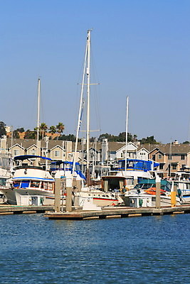 포토 JPG 해외이미지 나무 식물 꽃 호수 파도 바다 요트 자연 조류 하늘 항해 사람없음 야외 물 강 맑음 젖음 만 보트 서핑 그룹 주차 암초 닻 뱃놀이 해외포토 자연요소 동물 배_교통 날씨 전통놀이 수상스포츠 생태계 파일형식 이미지허브