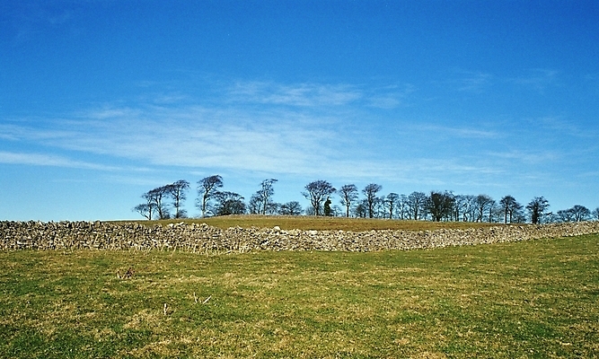 포토 JPG 해외이미지 나무 구름 벽 하늘 사람없음 초록색 파란색 흰색 시골 오픈 그리너리 해외포토 자연요소 식물 컬러 파일형식 트랜드컬러 이미지허브