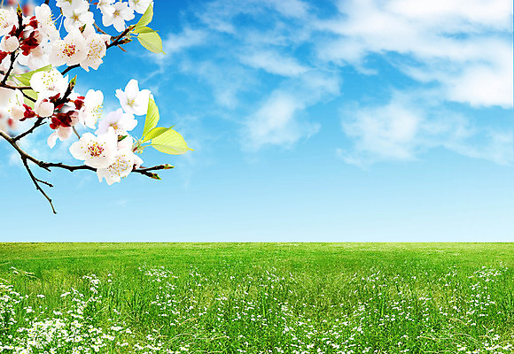 포토 JPG 해외이미지 구름 라이프스타일 남자 행복 어린이 여행 백그라운드 잎 크리스마스 밭 일러스트 모션 자연 하늘 산 프레임 사람 풍경 초원 사람없음 초록색 파란색 빛 뷰티 냉동 희망 봄 기쁨 가을 흰색 나뭇가지 전원 개화 숲 언덕 해외포토 자연요소 나무 식물 계절 기념일 꽃 감정 컬러 농업 생활 전기에너지 생태계 파일형식 이미지허브