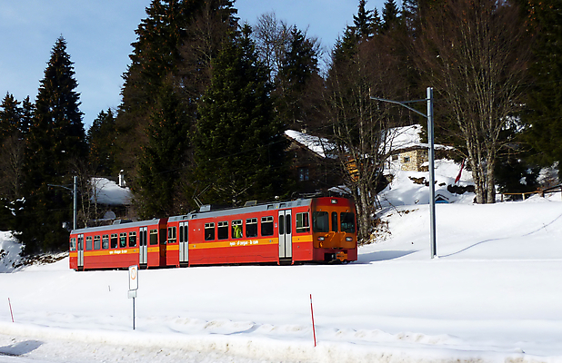 포토 JPG 해외이미지 나무 여행 크리스마스 겨울 산 사람없음 빨간색 얼음 기차 추위 흰색 스위스 전나무 샬레 눈내림 해외포토 자연요소 식물 계절 기념일 유럽 육상교통 컬러 대중교통 눈_날씨 실험기구 파일형식 이미지허브